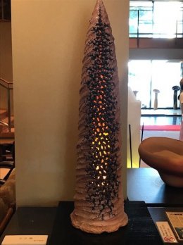 天月燭の写真です。